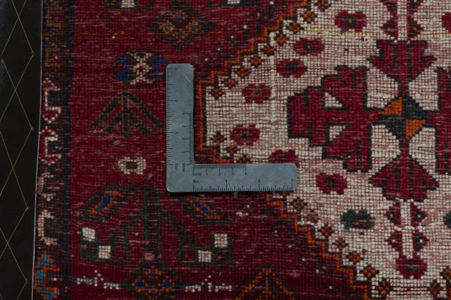 Shiraz - 4