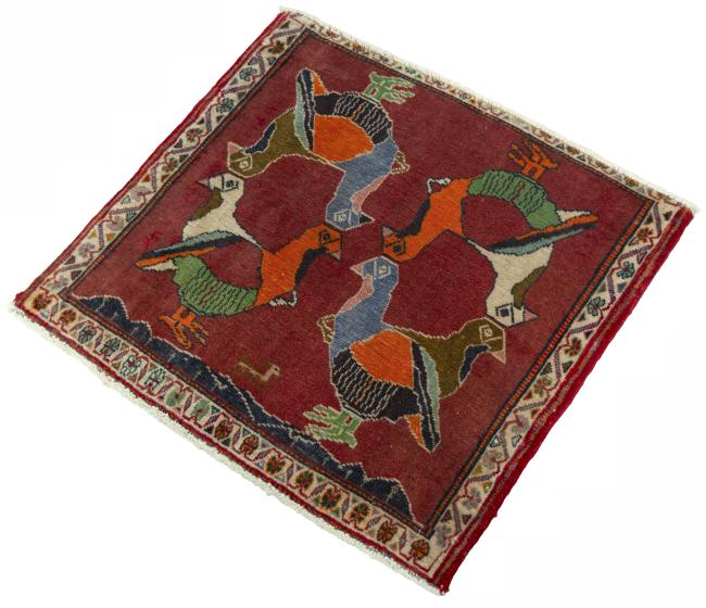 Shiraz - 1