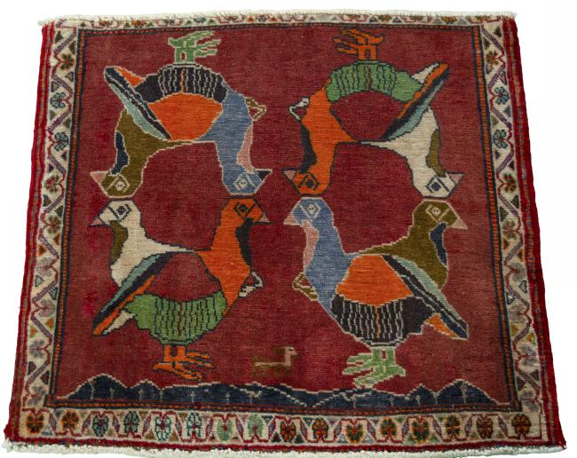 Shiraz - 3