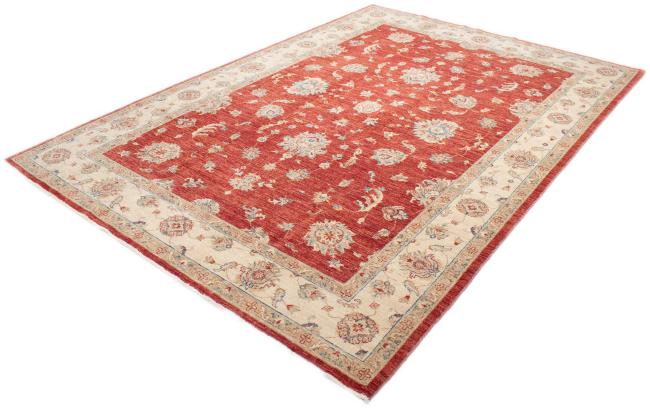 Ziegler Farahan - 2