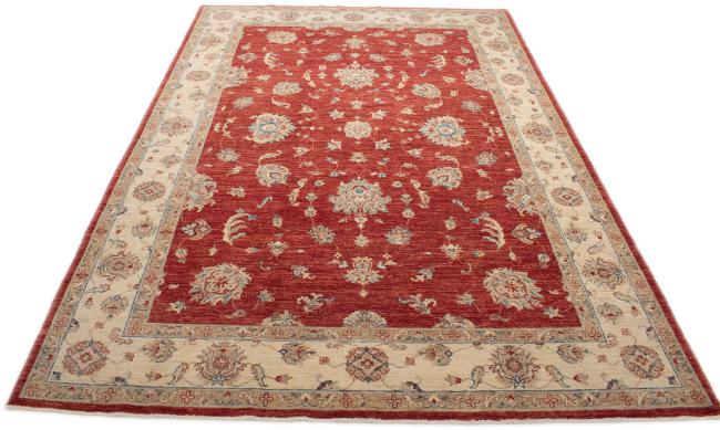 Ziegler Farahan - 3