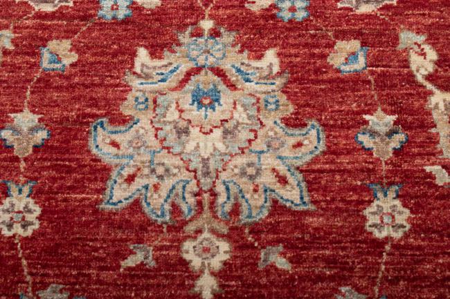 Ziegler Farahan - 5