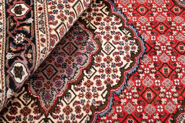 Tabriz Mahi - 6