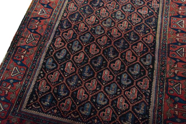 Afshar Antico - 5