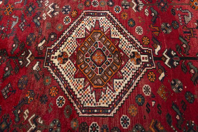 Shiraz - 5