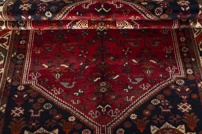 Shiraz - 8
