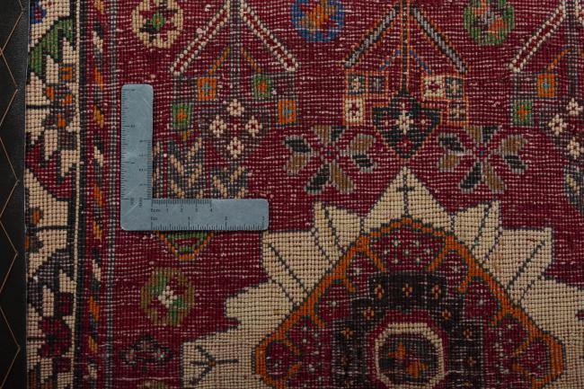 Shiraz - 4