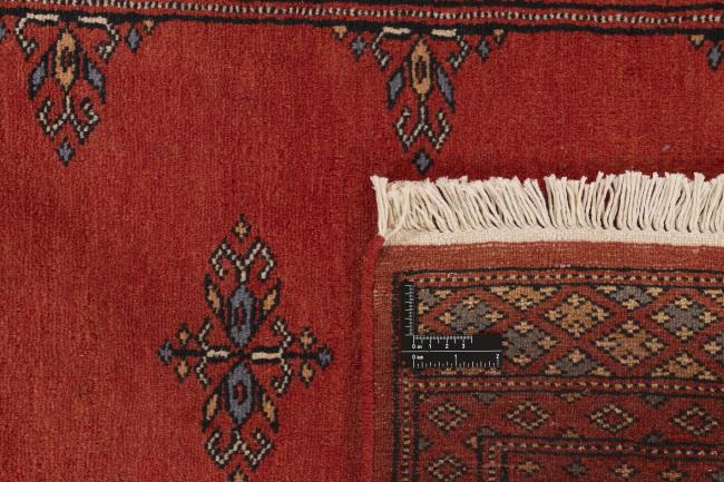 Pakistan Buchara 2ply - 1