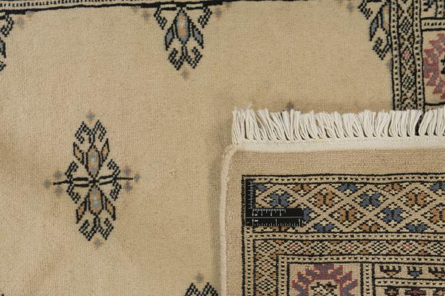 Pakistan Buchara 3ply - 1