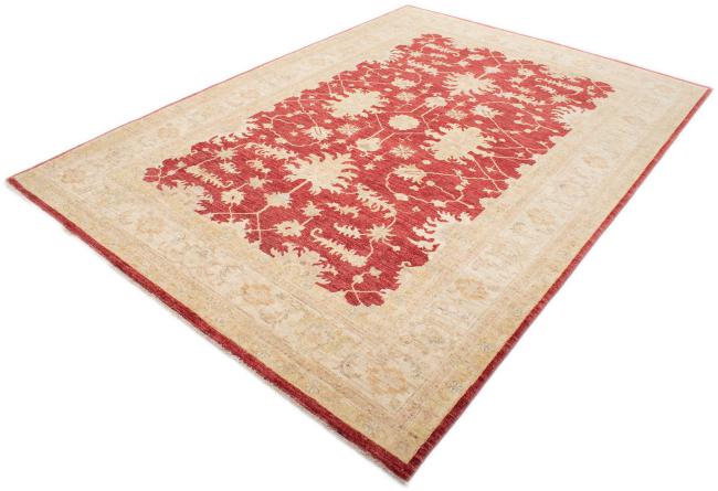 Ziegler Farahan - 2
