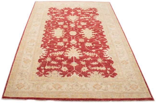 Ziegler Farahan - 3