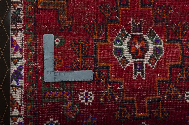 Shiraz - 4