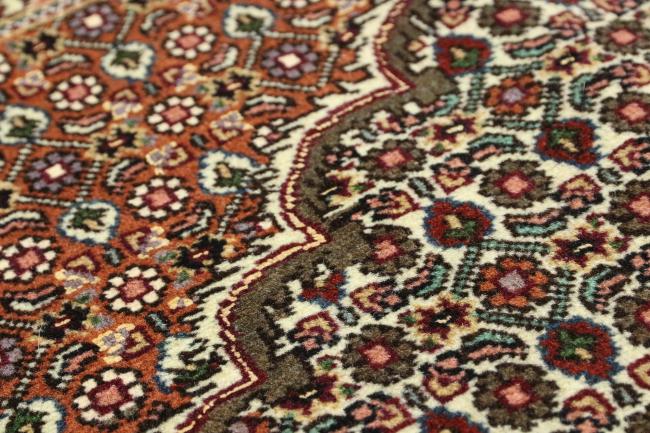 Tabriz Mahi - 9