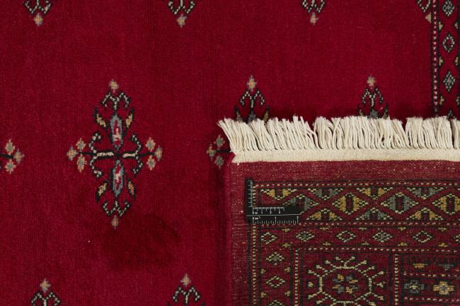 Pakistan Buchara 2ply - 1