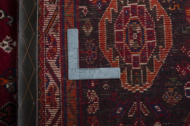 Shiraz - 9