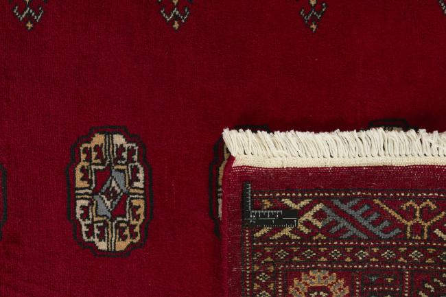 Pakistan Buchara 2ply - 1
