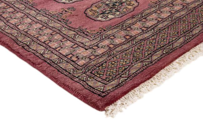Pakistan Buchara 3ply - 2