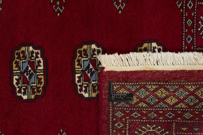 Pakistan Buchara 2ply - 1