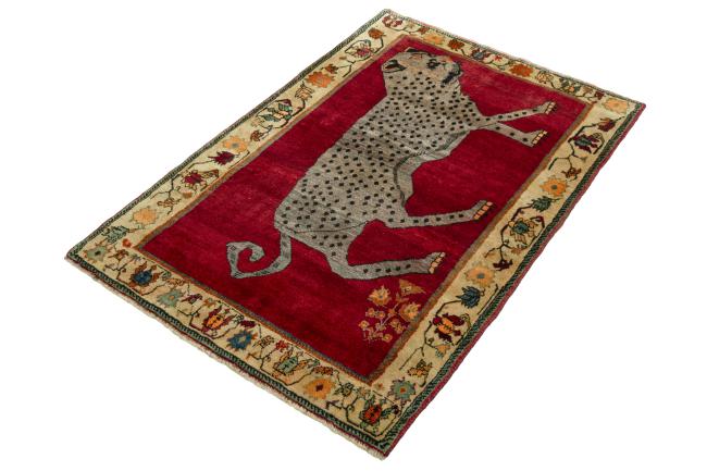 Shiraz - 1