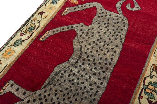 Shiraz - 4