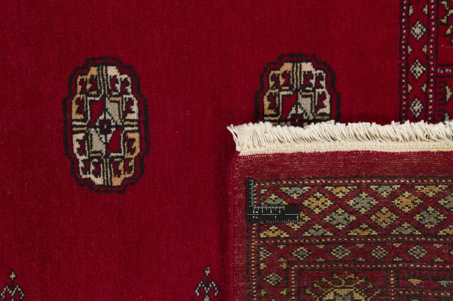 Pakistan Buchara 2ply - 1