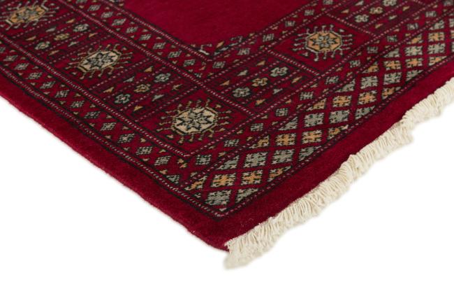 Pakistan Buchara 2ply - 3