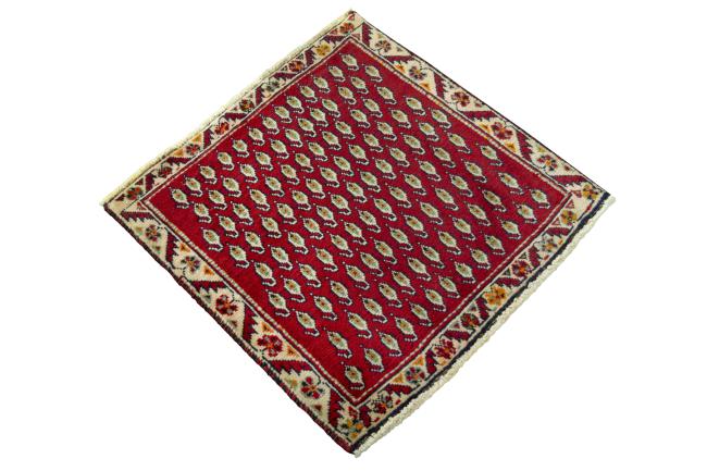 Shiraz - 2