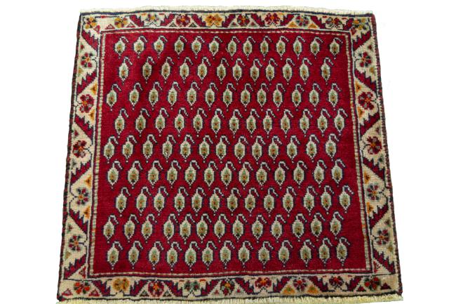 Shiraz - 3