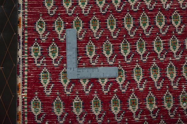 Shiraz - 4