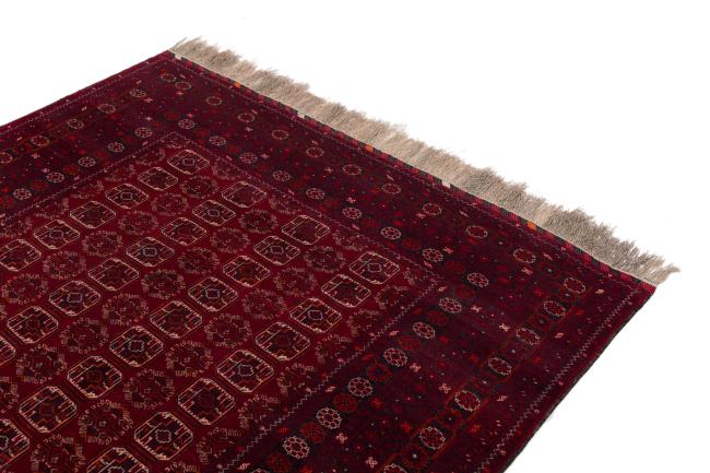 Afghan Mauri - 3