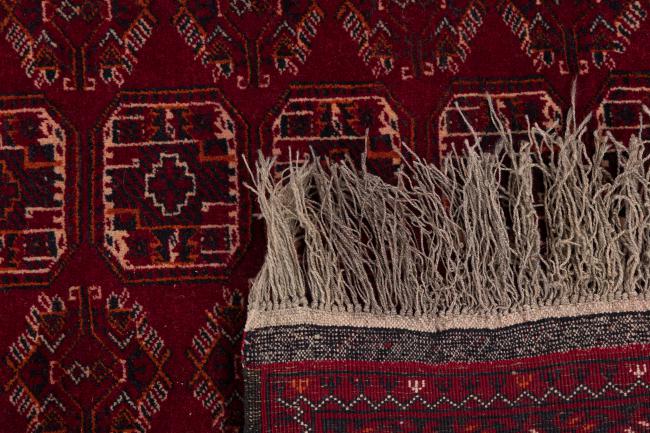 Afghan Mauri - 6