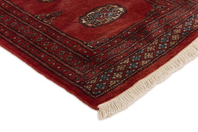 Pakistan Buchara 2ply - 3