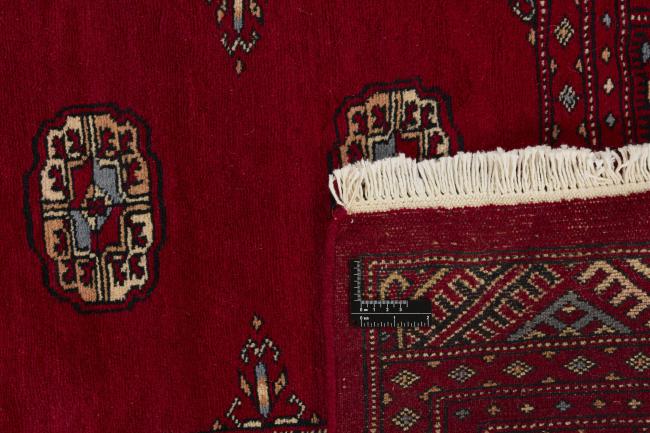 Pakistan Buchara 3ply - 2