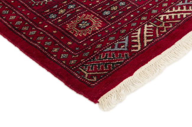 Pakistan Buchara 3ply - 3