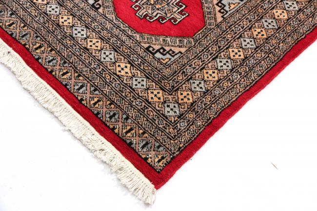 Pakistan Buchara 3ply - 3