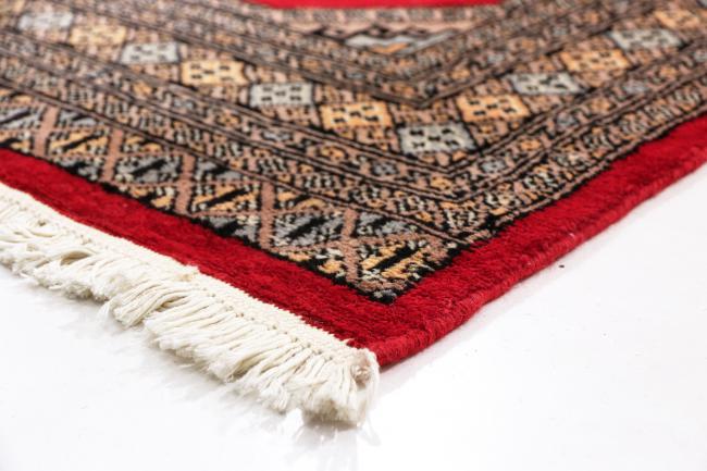 Pakistan Buchara 3ply - 4