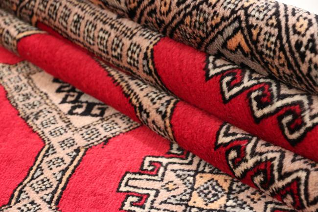Pakistan Buchara 3ply - 7