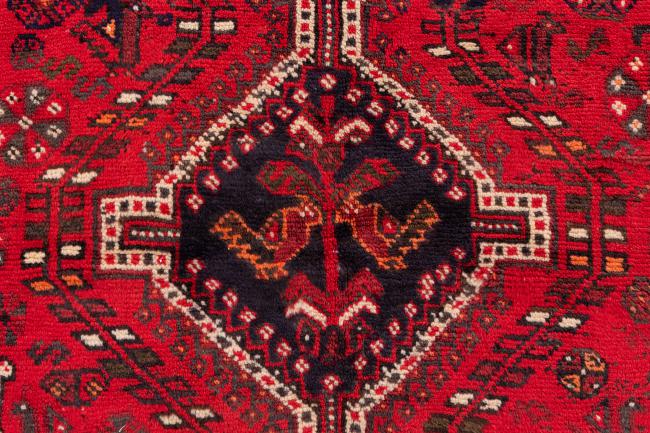 Shiraz - 7