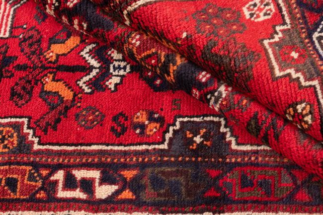 Shiraz - 8