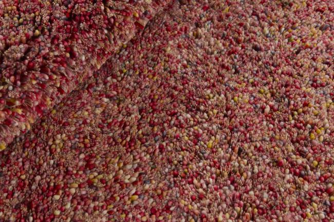 Berber Coral - 2