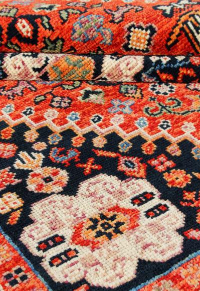 Arijana Ghashghai - 1