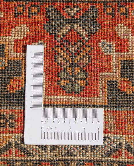 Arijana Ghashghai - 2