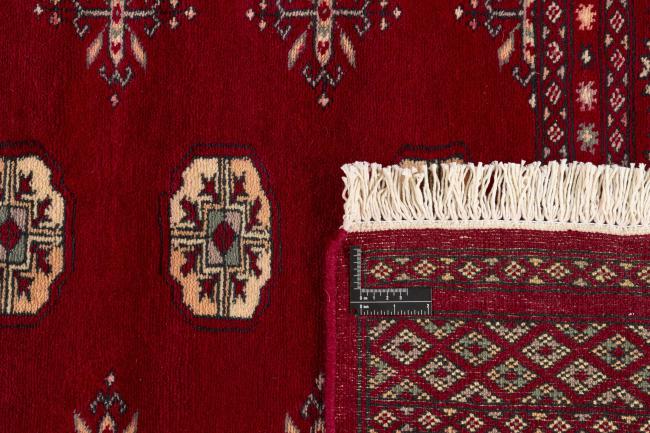 Pakistan Buchara 3ply - 1