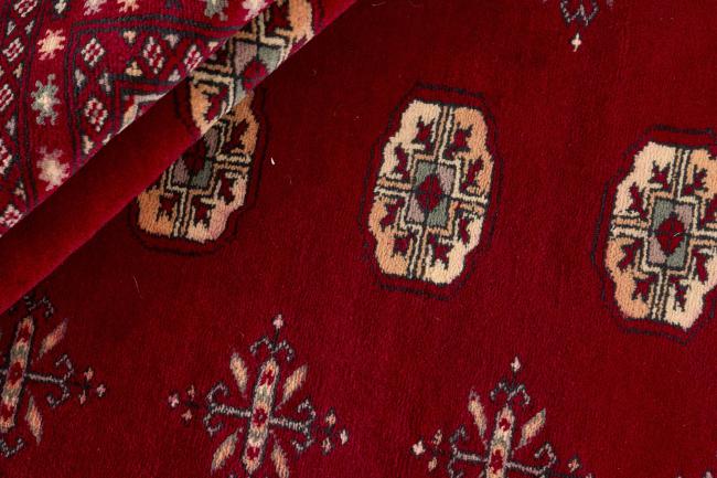 Pakistan Buchara 3ply - 2