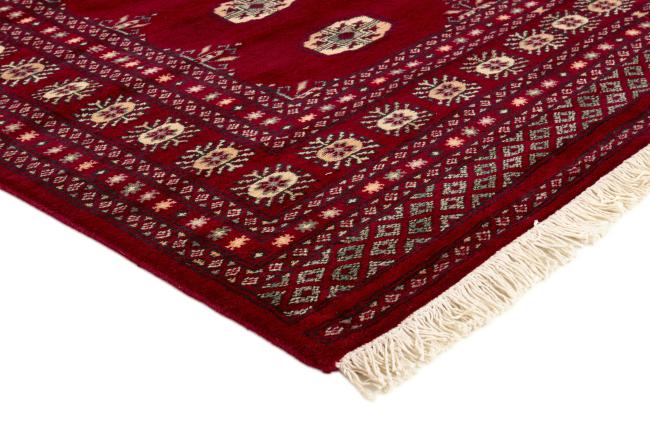Pakistan Buchara 3ply - 3