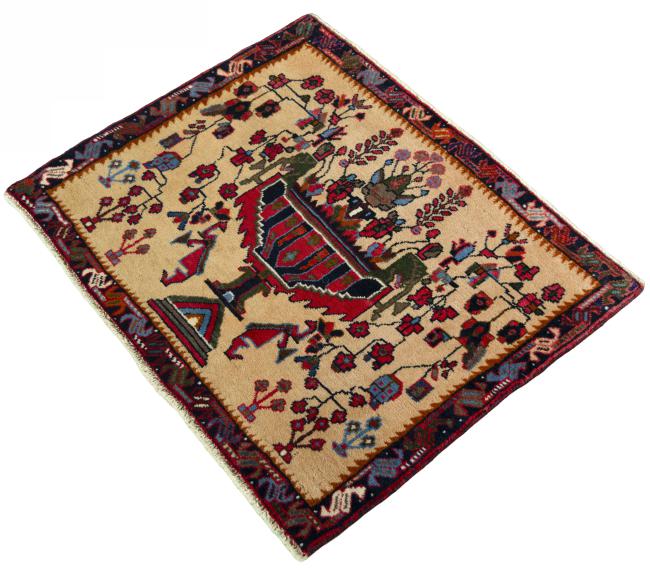Shiraz - 1