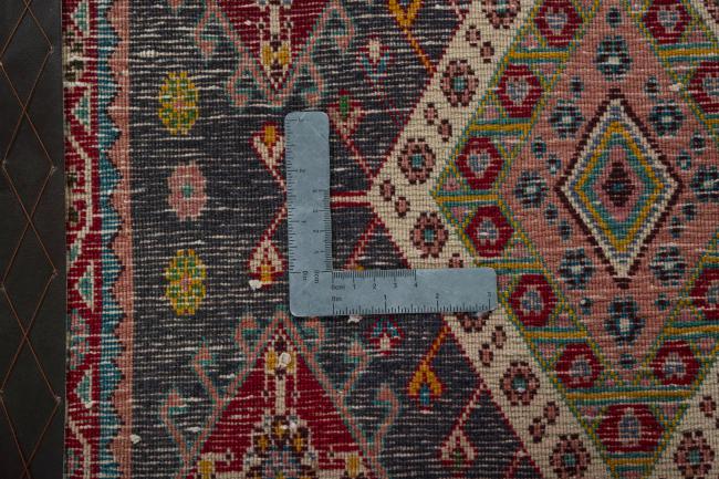 Shiraz - 4