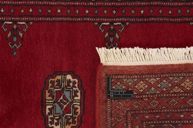 Pakistan Buchara 2ply - 1