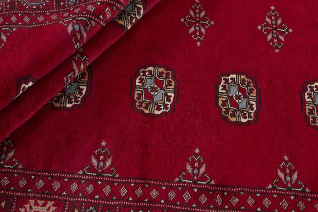 Pakistan Buchara 3ply - 2