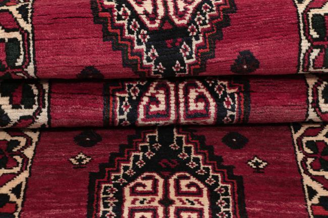 Shiraz - 5